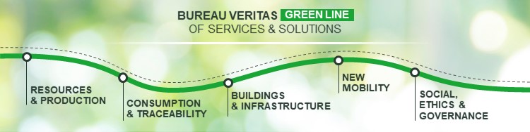 BV Green Line - All Pillars