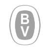 BV mark icon