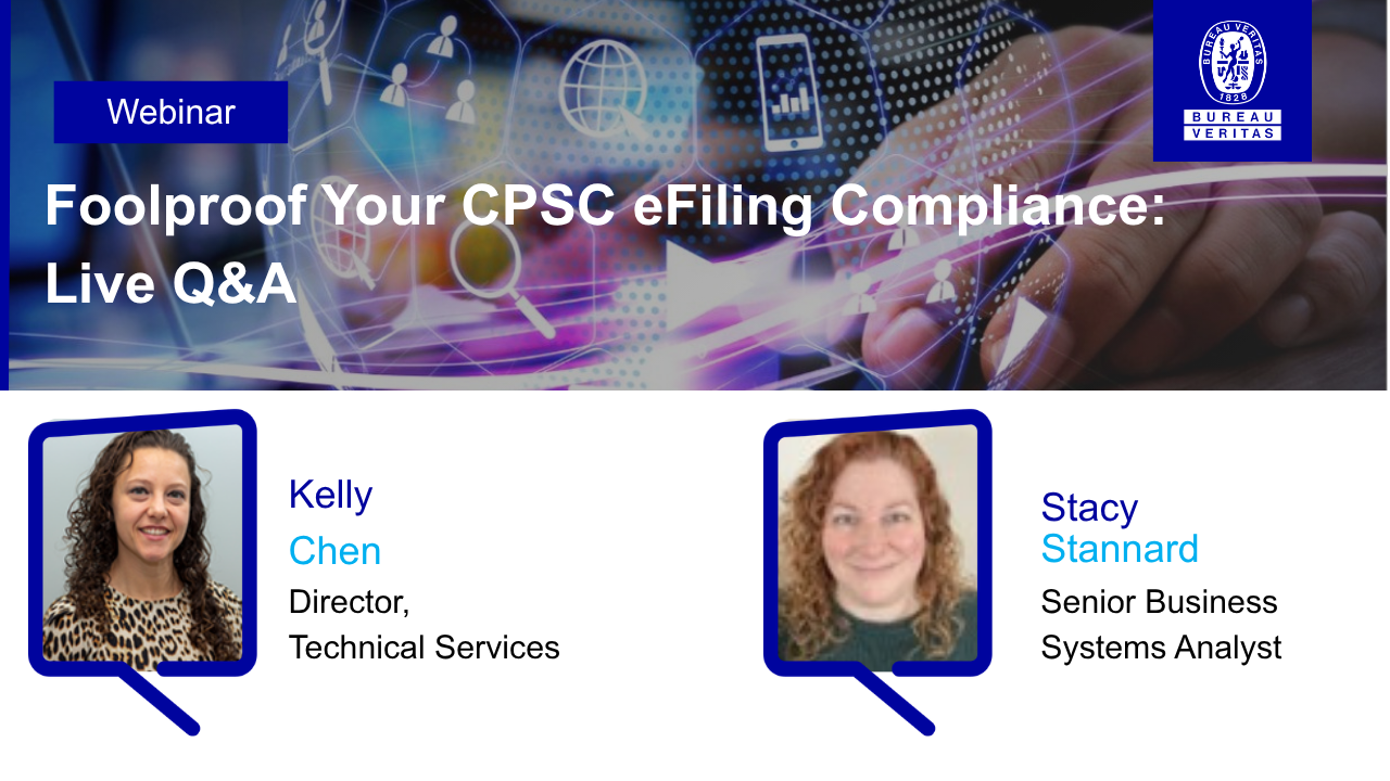 thumbnail for April eFiling Webinar